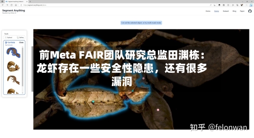 前Meta FAIR团队研究总监田渊栋：龙虾存在一些安全性隐患，还有很多漏洞