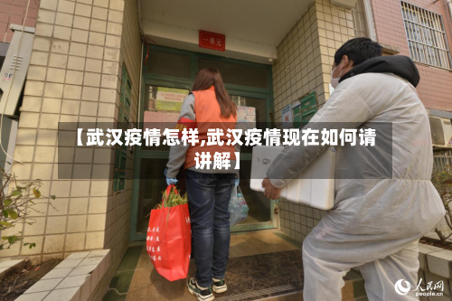【武汉疫情怎样,武汉疫情现在如何请讲解】-第3张图片