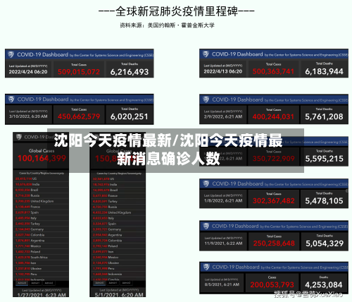 沈阳今天疫情最新/沈阳今天疫情最新消息确诊人数-第3张图片