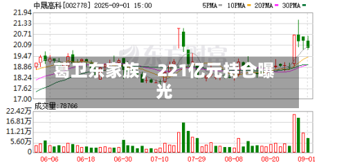 葛卫东家族，221亿元持仓曝光-第2张图片