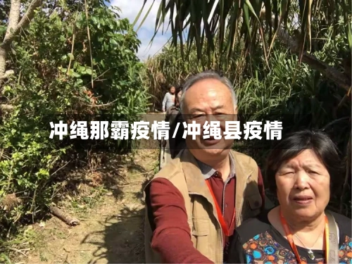 冲绳那霸疫情/冲绳县疫情