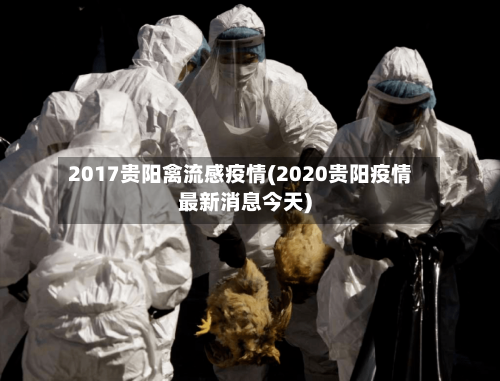 2017贵阳禽流感疫情(2020贵阳疫情最新消息今天)-第3张图片