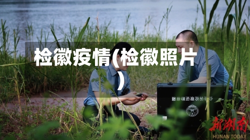 检徽疫情(检徽照片)