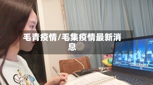 毛青疫情/毛集疫情最新消息
