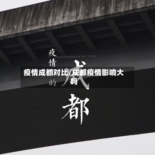 疫情成都对比/成都疫情影响大吗-第3张图片