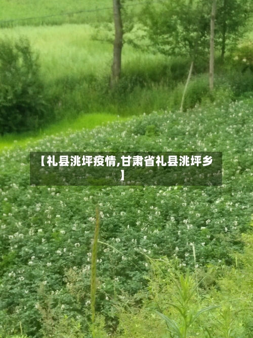 【礼县洮坪疫情,甘肃省礼县洮坪乡】