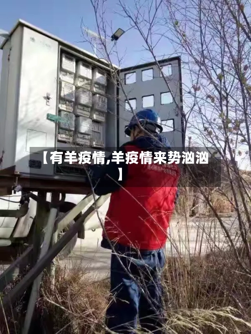 【有羊疫情,羊疫情来势汹汹】-第2张图片