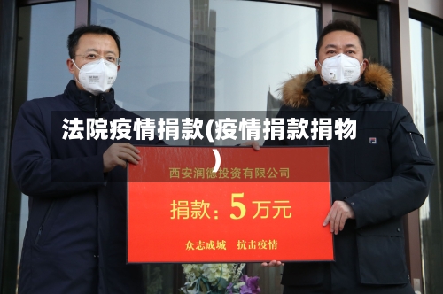 法院疫情捐款(疫情捐款捐物)