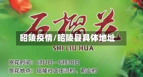 昭陵疫情/昭陵县具体地址