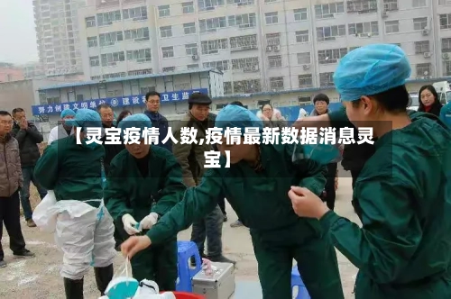 【灵宝疫情人数,疫情最新数据消息灵宝】-第2张图片