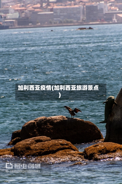 加利西亚疫情(加利西亚旅游景点)