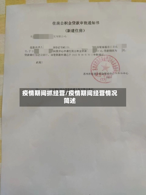 疫情期间抓经营/疫情期间经营情况简述