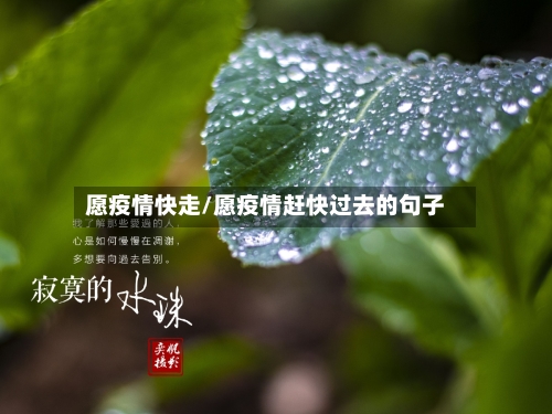 愿疫情快走/愿疫情赶快过去的句子-第3张图片