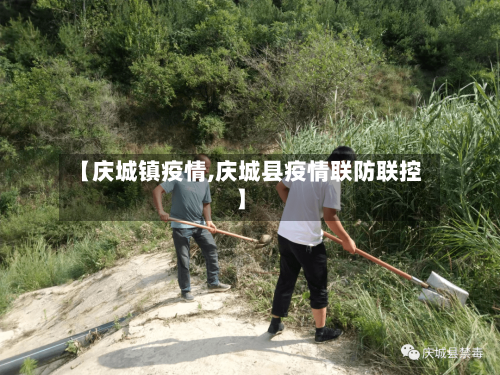 【庆城镇疫情,庆城县疫情联防联控】-第2张图片