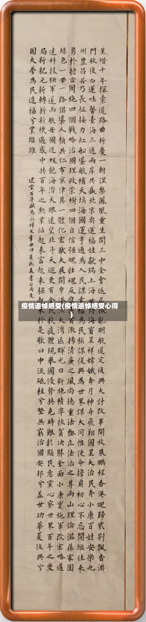疫情追悼感受(疫情追悼感受心得)