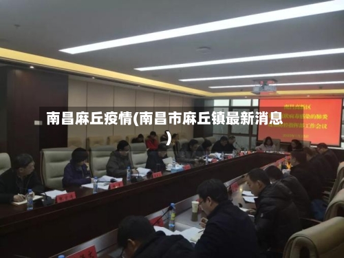 南昌麻丘疫情(南昌市麻丘镇最新消息)