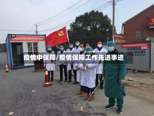 疫情中保障/疫情保障工作先进事迹