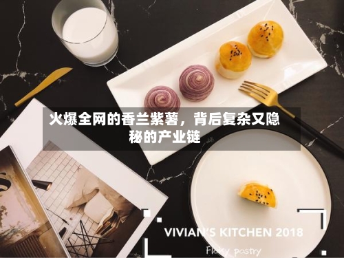 火爆全网的香兰紫薯，背后复杂又隐秘的产业链-第2张图片