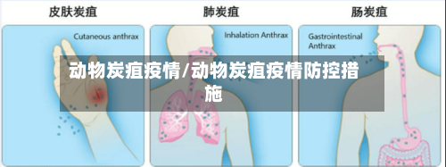 动物炭疽疫情/动物炭疽疫情防控措施