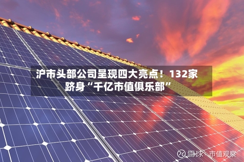 沪市头部公司呈现四大亮点！132家跻身“千亿市值俱乐部”-第3张图片