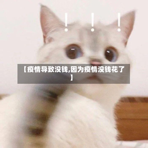 【疫情导致没钱,因为疫情没钱花了】