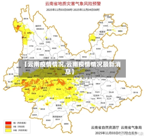 【云南疫情情况,云南疫情情况最新消息】