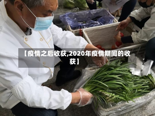 【疫情之后收获,2020年疫情期间的收获】-第2张图片