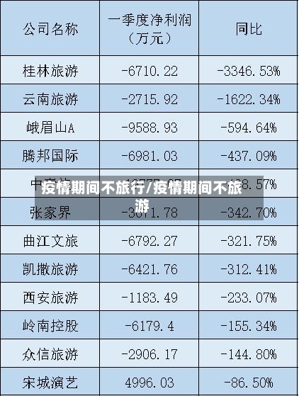 疫情期间不旅行/疫情期间不旅游-第2张图片