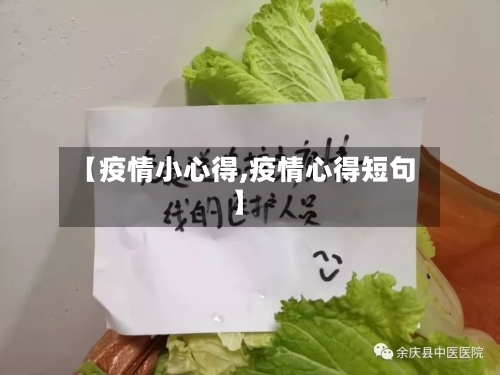 【疫情小心得,疫情心得短句】-第2张图片