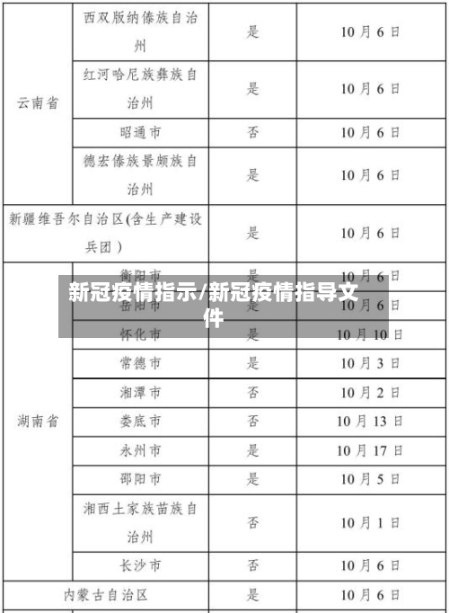 新冠疫情指示/新冠疫情指导文件