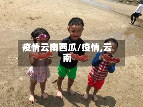 疫情云南西瓜/疫情,云南