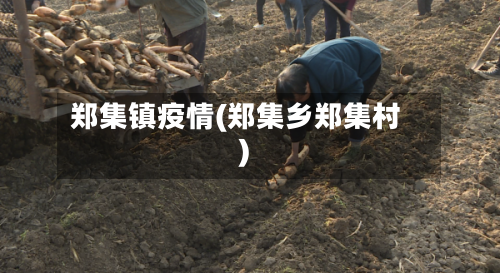 郑集镇疫情(郑集乡郑集村)-第3张图片