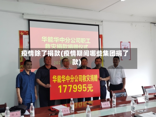 疫情除了捐款(疫情期间哪些集团捐了款)-第2张图片