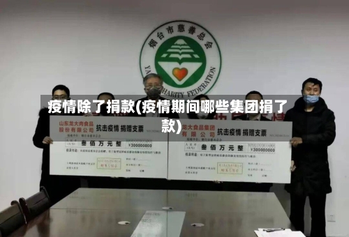 疫情除了捐款(疫情期间哪些集团捐了款)