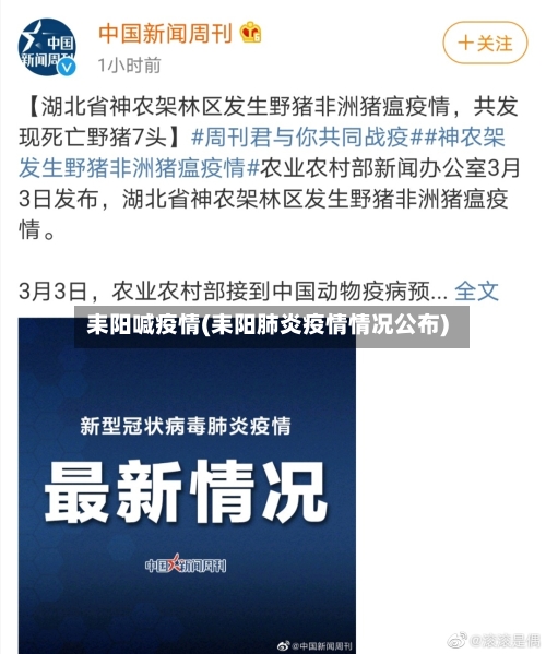 耒阳喊疫情(耒阳肺炎疫情情况公布)