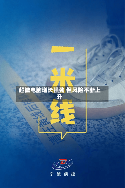 超微电脑增长强劲 但风险不断上升
