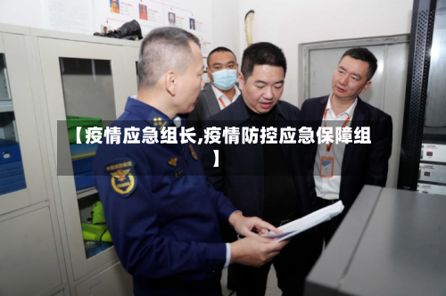 【疫情应急组长,疫情防控应急保障组】