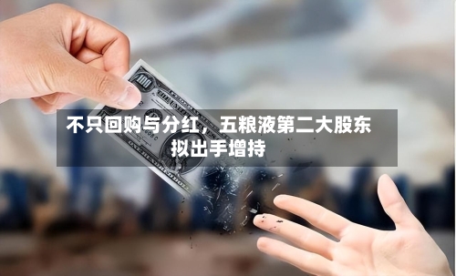 不只回购与分红，五粮液第二大股东拟出手增持-第3张图片