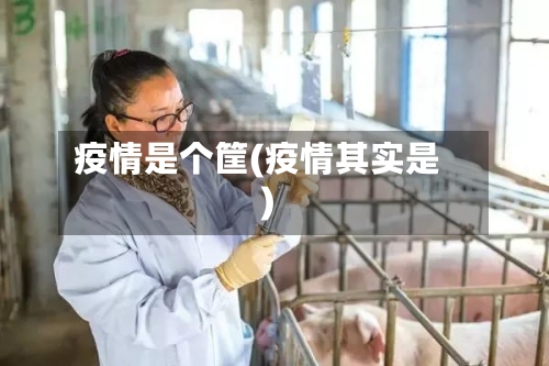 疫情是个筐(疫情其实是)