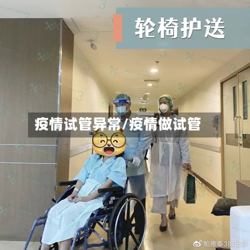 疫情试管异常/疫情做试管